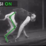 If other paralyzed primates walk, will humans?